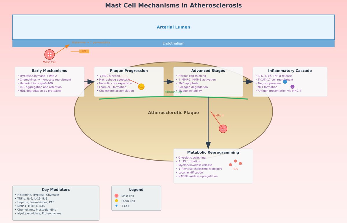 Frontiers in Bioscience-Landmark tweet media