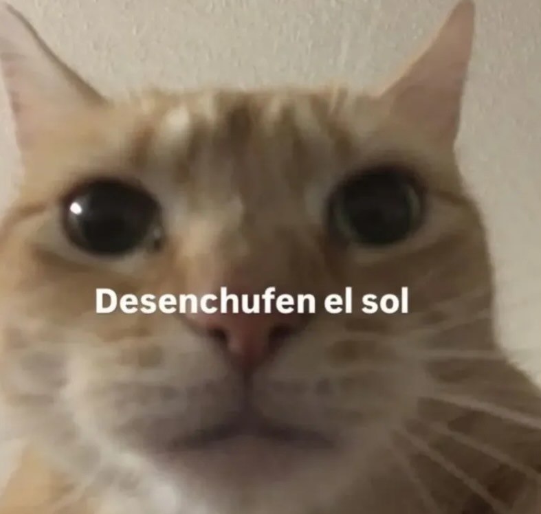 Mundo de Bigotes (@mundodebigotes) on Twitter photo 
