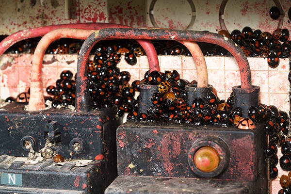 安田 守 tweet media