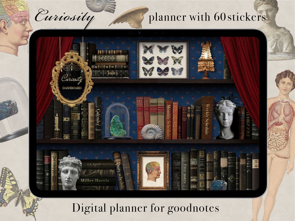 littled_dream's tweet image. 【Goodnotes】Curiosity 4月始まりデジタルプランナー　60枚のステッカー付き
shop.a-littledream.com/product/curios…
#Goodnotes #digitalplanner #digitalsticker #デジタルステッカー
