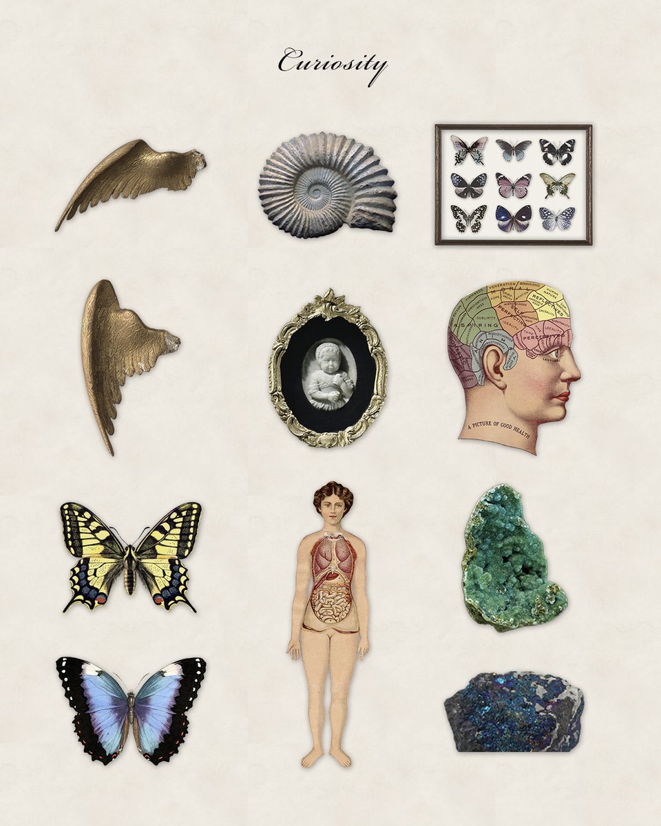 littled_dream's tweet image. 【Goodnotes】Curiosity 4月始まりデジタルプランナー　60枚のステッカー付き
shop.a-littledream.com/product/curios…
#Goodnotes #digitalplanner #digitalsticker #デジタルステッカー