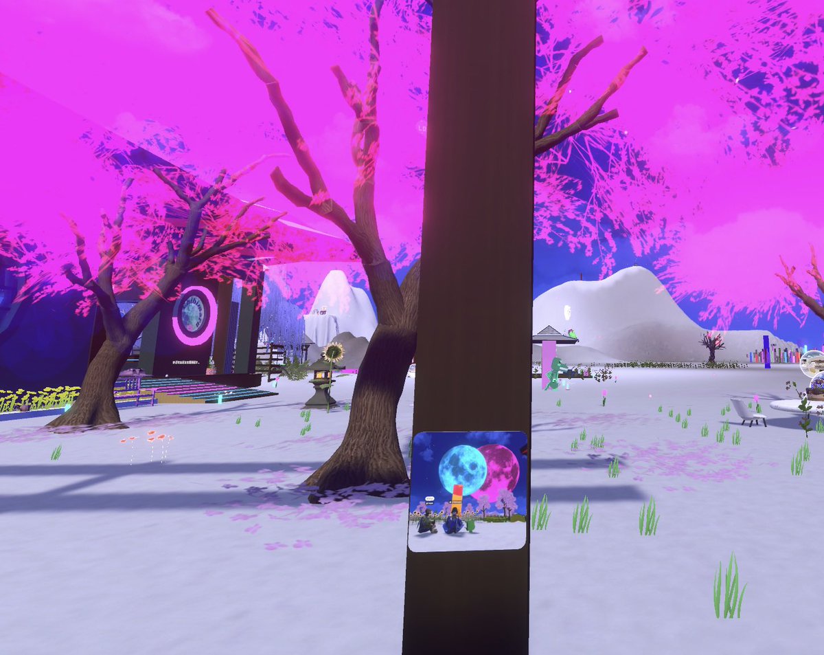 kape DAYO tweet media