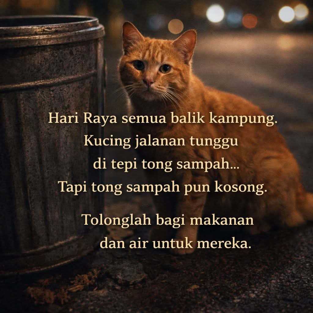 kyril_graguks's tweet photo. Bro sedang usaha mencari "feeder" bagi menggantikan tmpt bro  di 45 port anak2 jalanan bro,sebab bro terpaksa bercuti raya.Bro x sanggup membiarkan mereka menanti nantikan kehadiran bro demi makanan sebab tmpt2 ini xde langsung sumber makanan.Hati x akan tenang memikirkan🐈🐕‍🦺bro. https://t.co/5hbf0oziWV