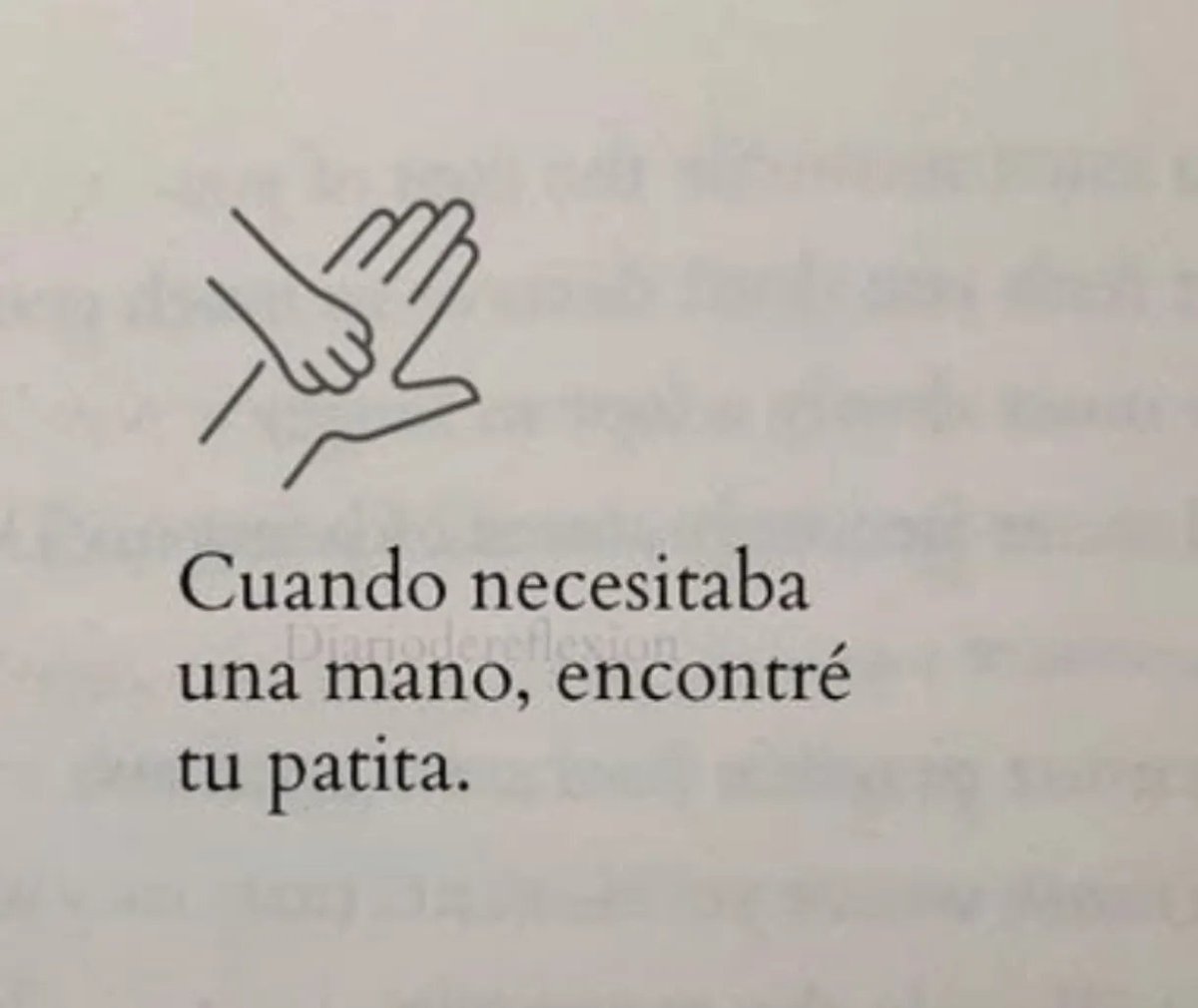 Más Ciencia (@msciencia2) on Twitter photo 