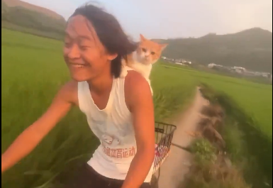 NeonNomad.base tweet media