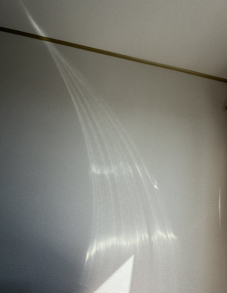 刀の反射光が綺麗に一点で交わってる
正確な研ぎの賜物でしょうか