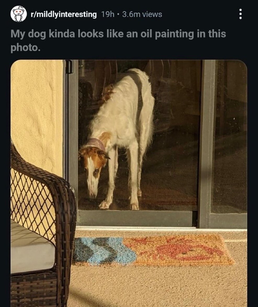 redditbutfunny's tweet photo. https://t.co/1mdJRvDqqy