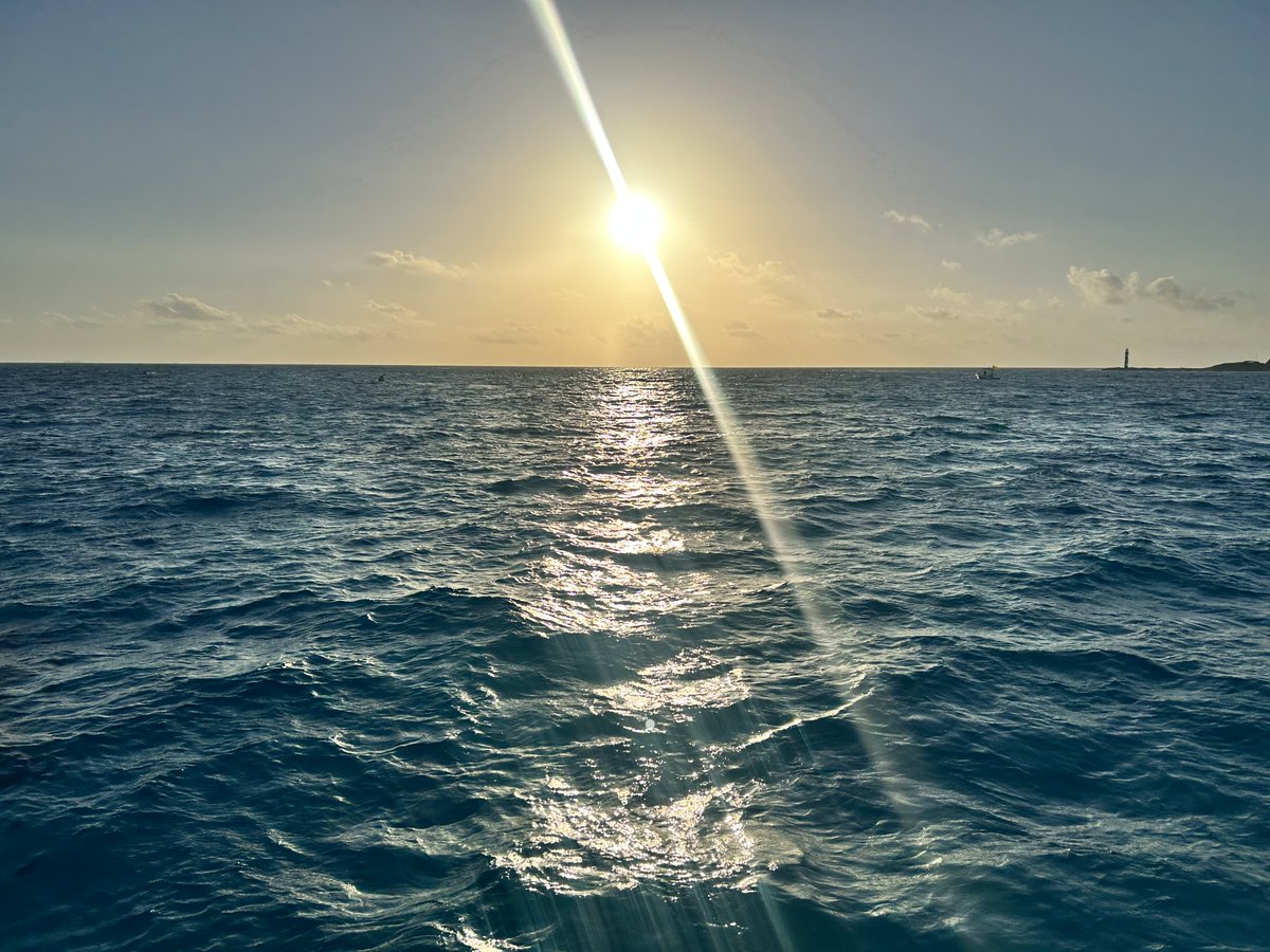 Vanessa Ramos tweet media