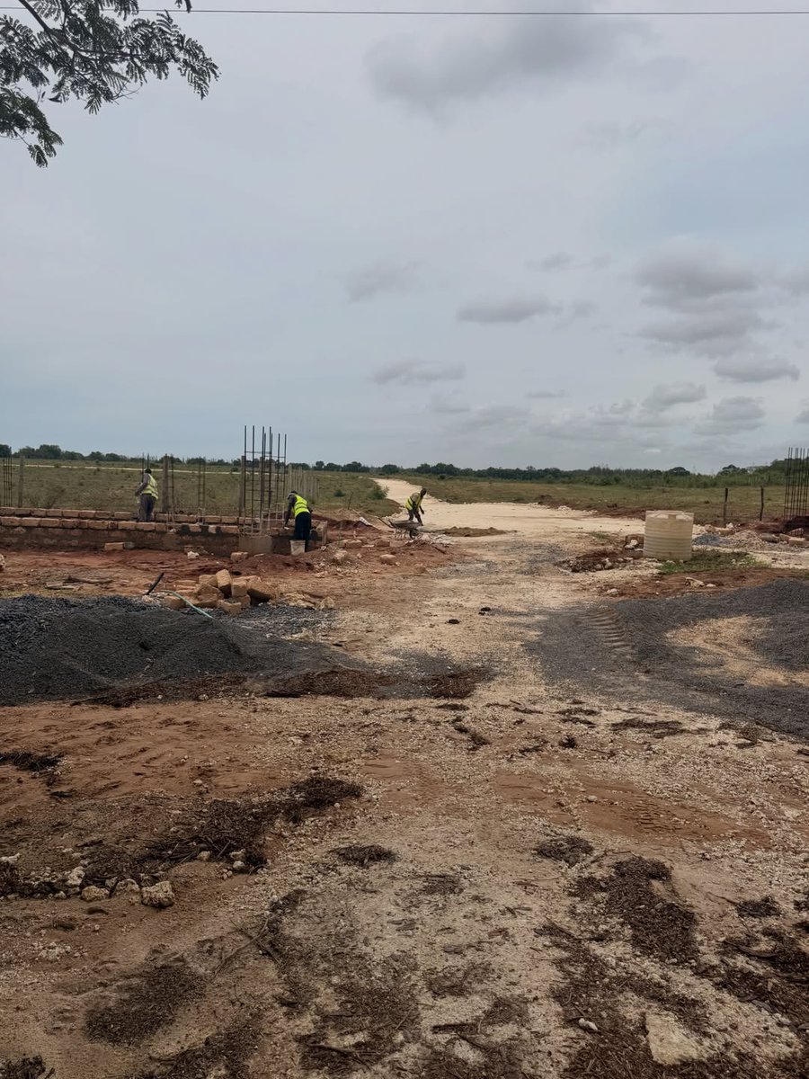 Vipingo Development PLC tweet media