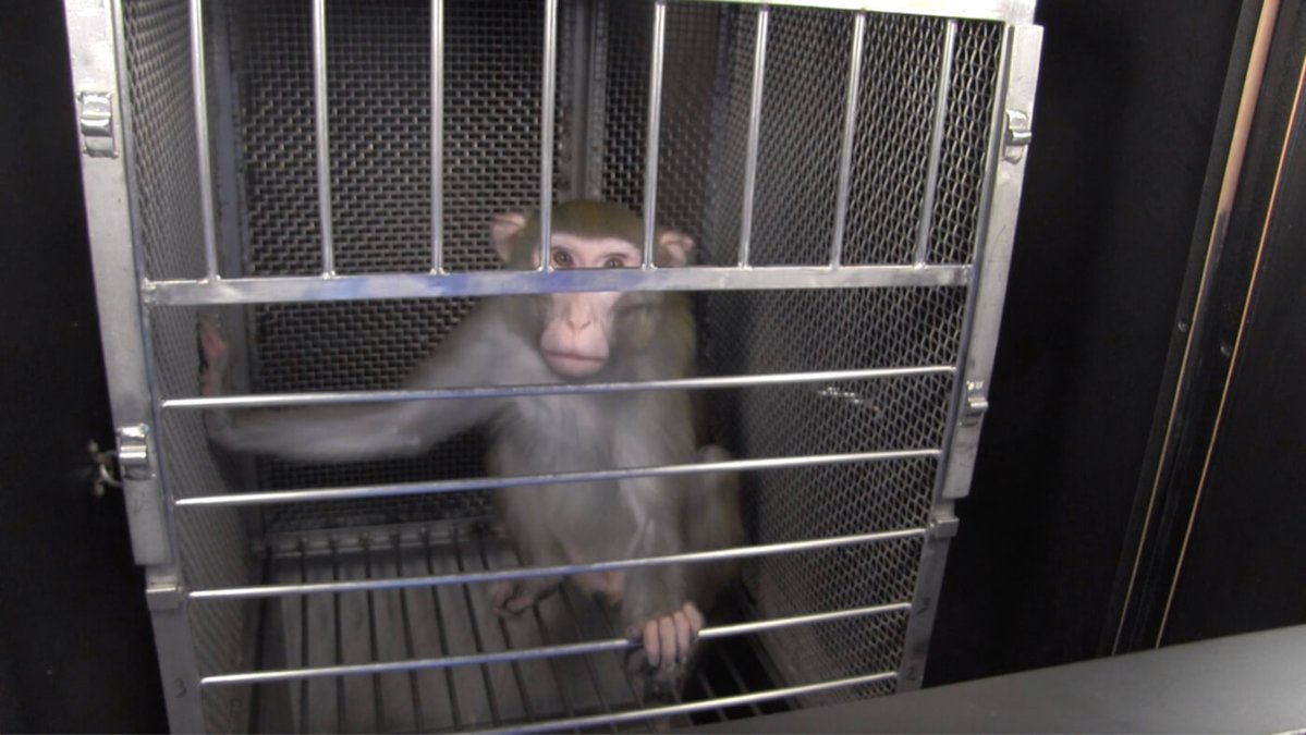 Sharath Prabhu tweet media