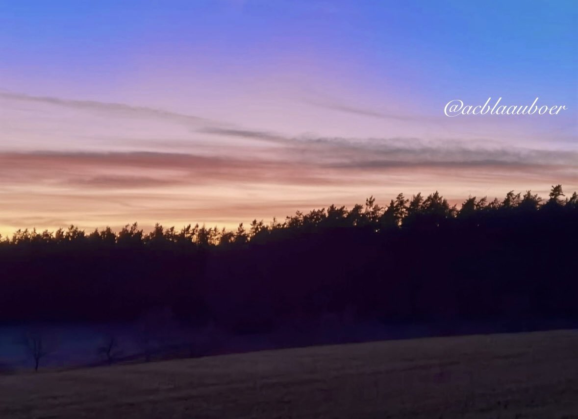 Nemophilist✨🌿🌲 tweet media