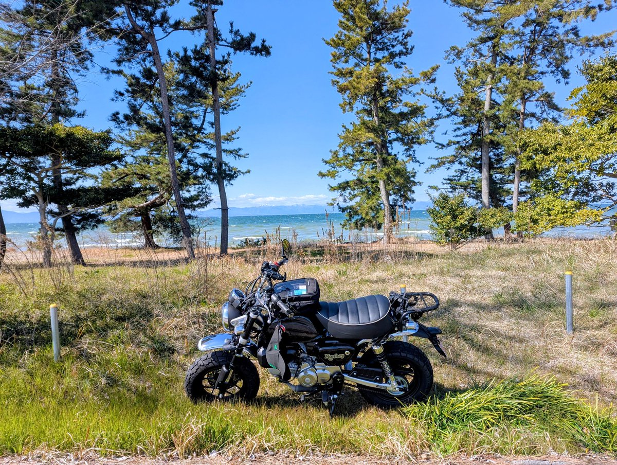 𝗠𝗥𝗢 エムロ / MOFZ tweet media