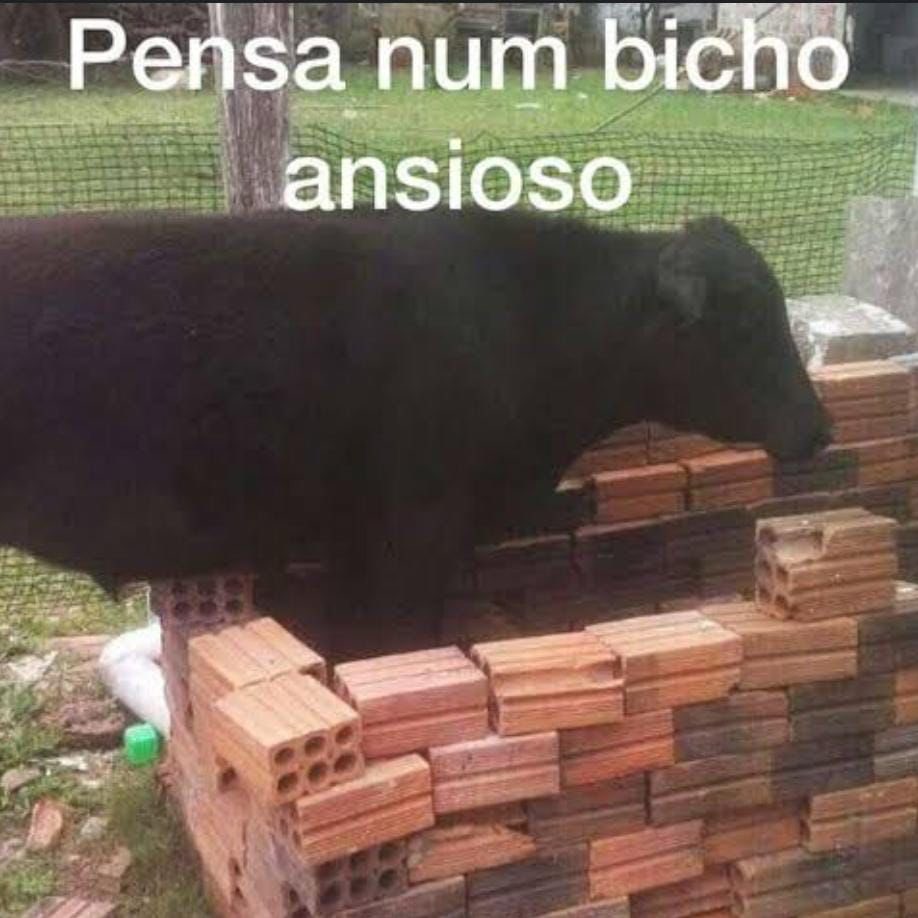 pensa num bicho ansioso !!!