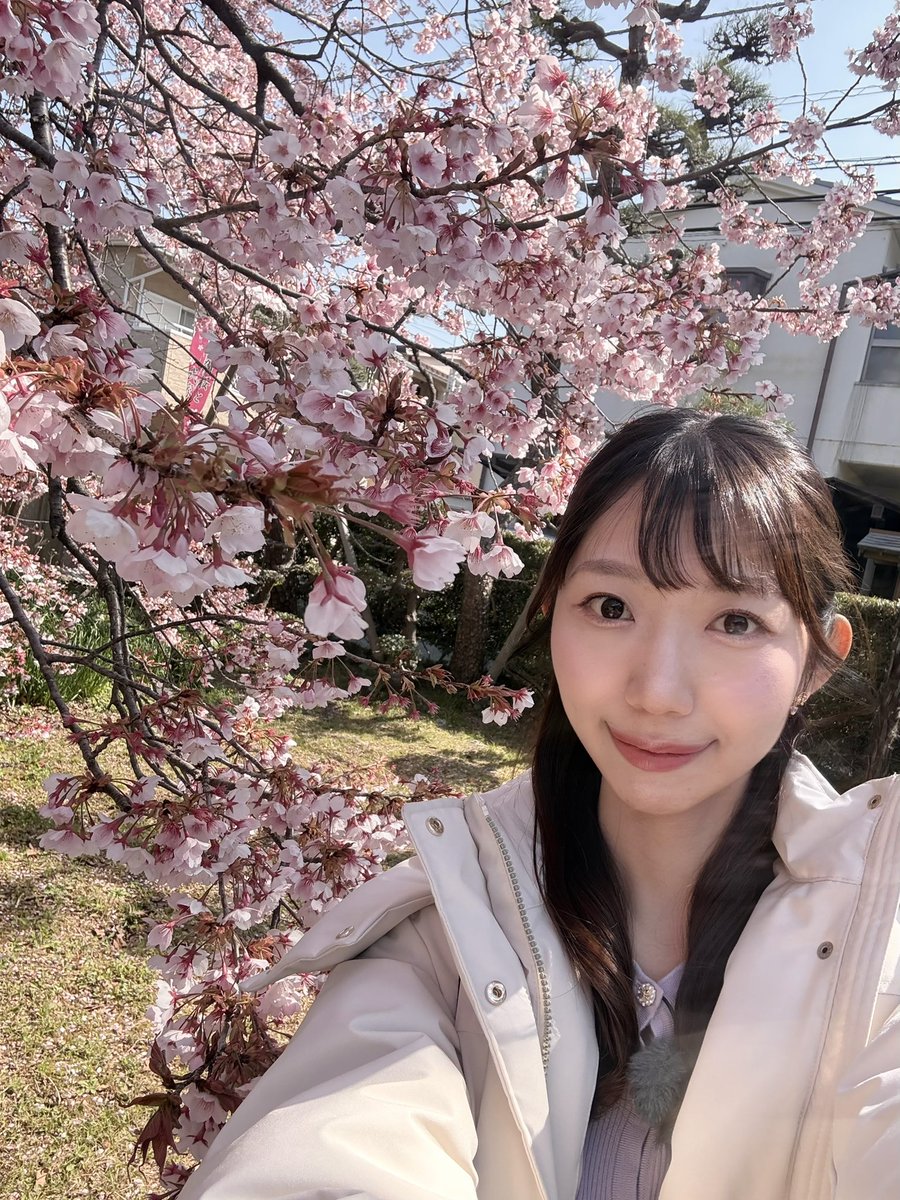 豊成春子(四国放送アナウンサー) tweet media