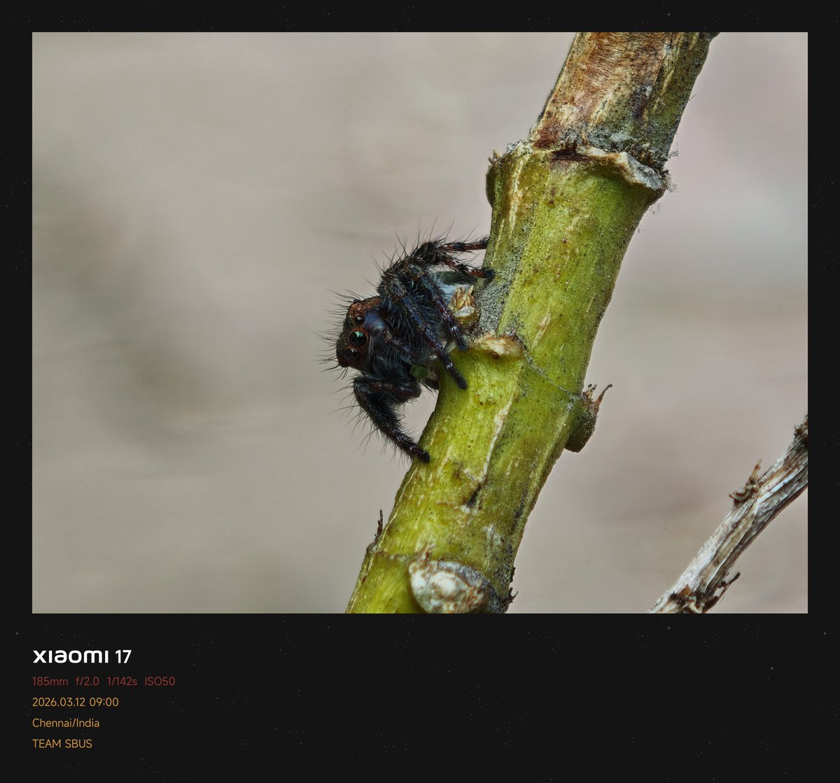 Siva Bharani Udaya Selvan tweet media