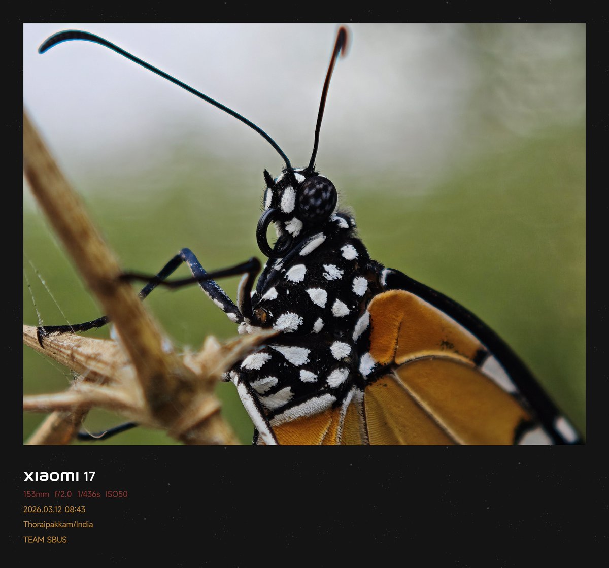 Siva Bharani Udaya Selvan tweet media