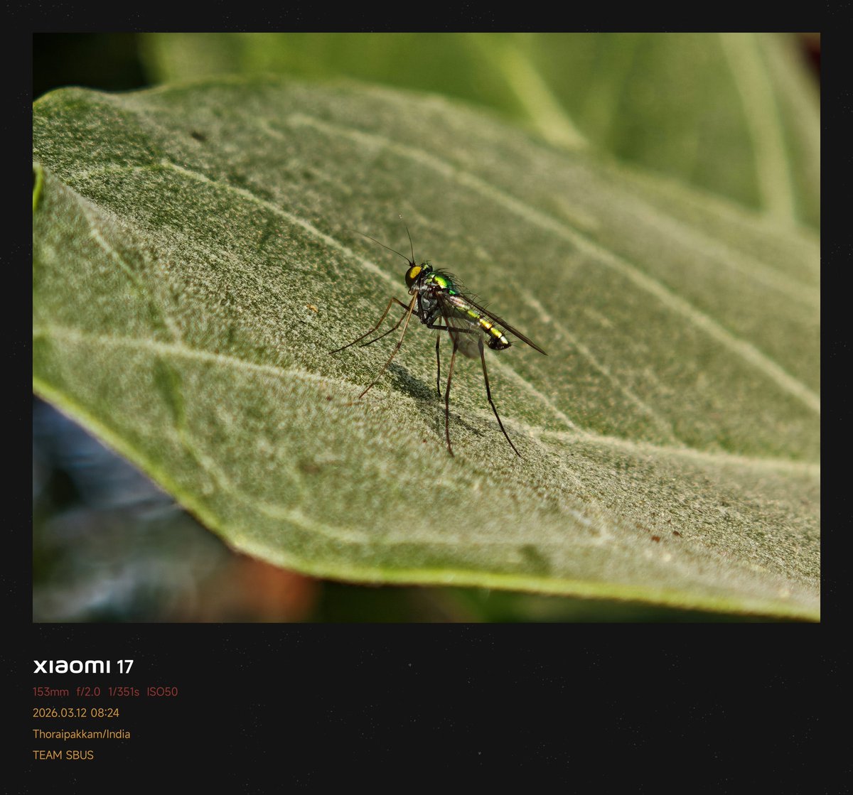 Siva Bharani Udaya Selvan tweet media