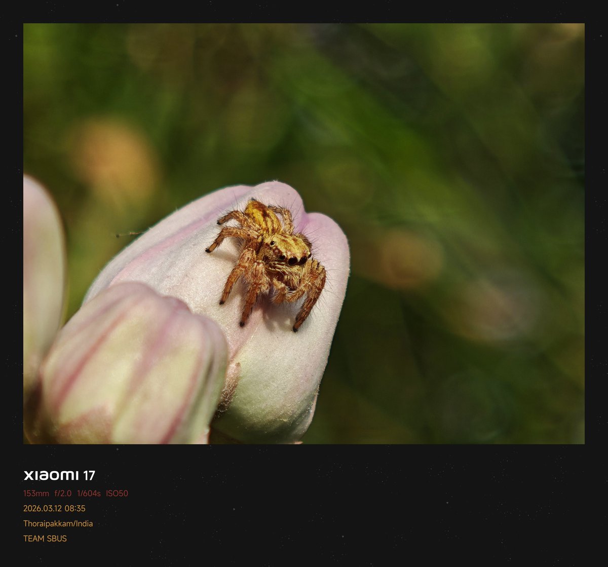 Siva Bharani Udaya Selvan tweet media