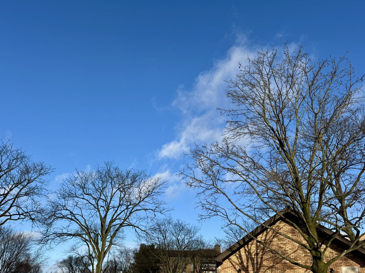 Clearing-blue sky-skies-small cumulus white clouds-cloud-trees-bare tree branches-buildings 5:43pm March 11 2026 Northbrook Illinois USA-Editorial Use Permission w/Credit: Michael Heimlich <a href="/MichaelHeimlich/">Michael Heimlich</a>;#Sunny #BlueSky #Cumulus #Trees #Branches #wx #ILwx <a href="/NWSChicago/">NWS Chicago</a> #StormHour