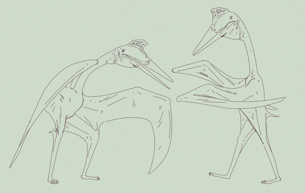 Ashley Patch tweet media