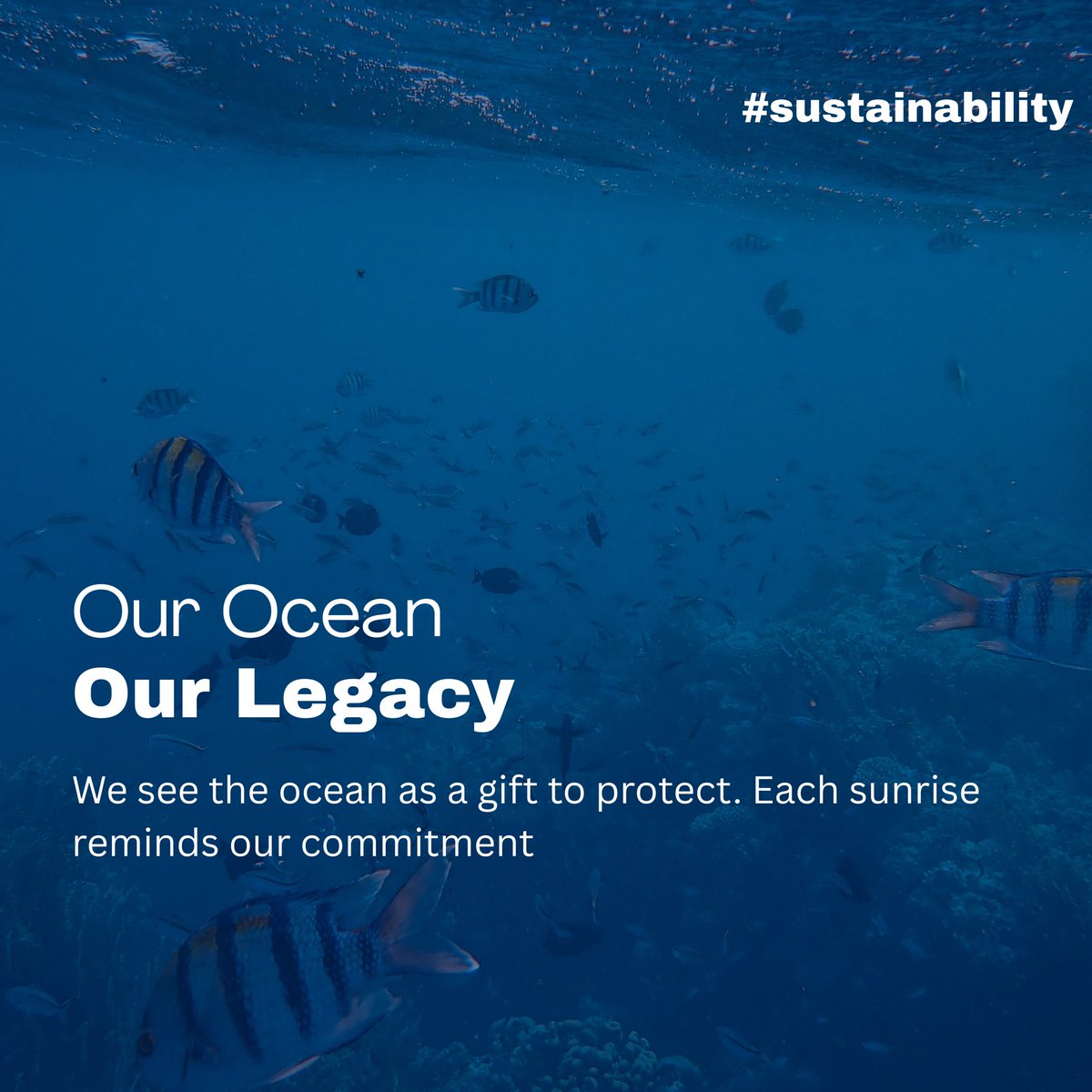 ilknakac's tweet photo. İlknak Aquaculture, we prioritize sustainable aquaculture and the protection of our blue oceans. We remain committed to acting with innovation, responsibility, and environmental awareness to preserve healthy and balanced ecosystems for future generations https://t.co/zeQ71tWj1x