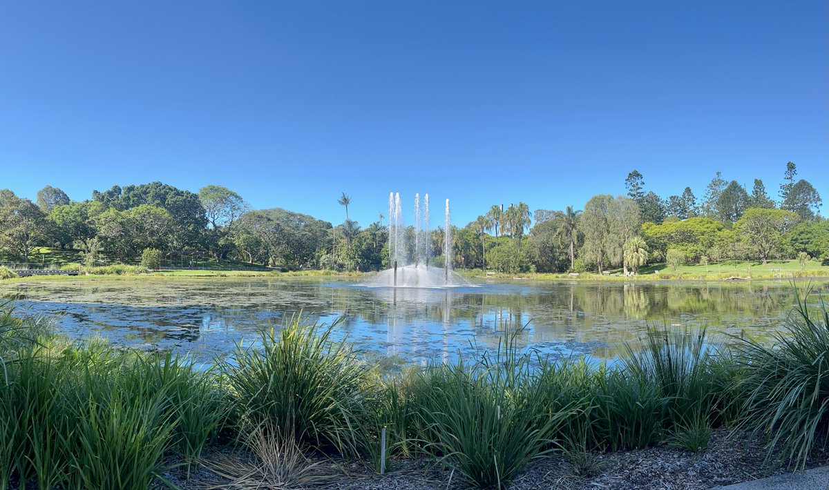 Christopher Ang tweet media