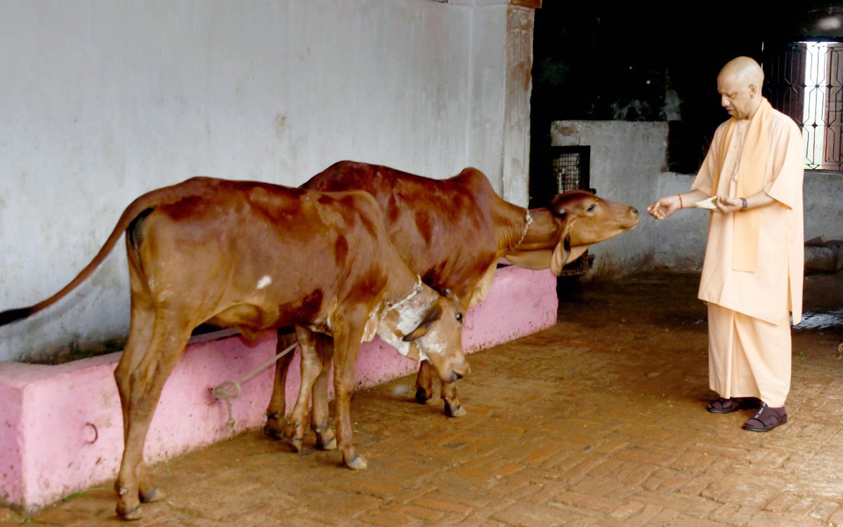 गावो विश्वस्य मातरः

गोरक्षपीठाधीश्वर, महंत श्री <a href="/myogiadityanath/">Yogi Adityanath</a> जी महाराज ने आज जनपद बलरामपुर के तुलसीपुर स्थित आदिशक्ति माँ पाटेश्वरी देवी शक्तिपीठ परिसर स्थित गोशाला में गोवंशों को गुड़ और रोटी खिलाकर उनकी सेवा की।