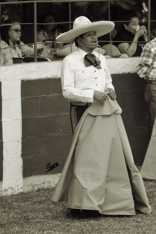 Mundo Toca tweet media