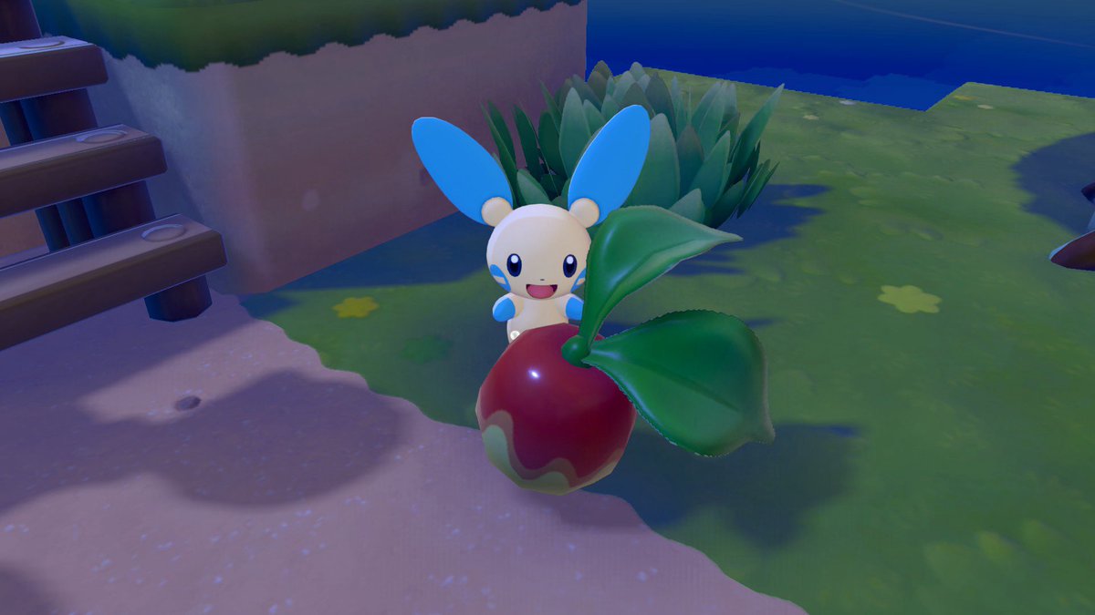 Short King Orly 👑 tweet media