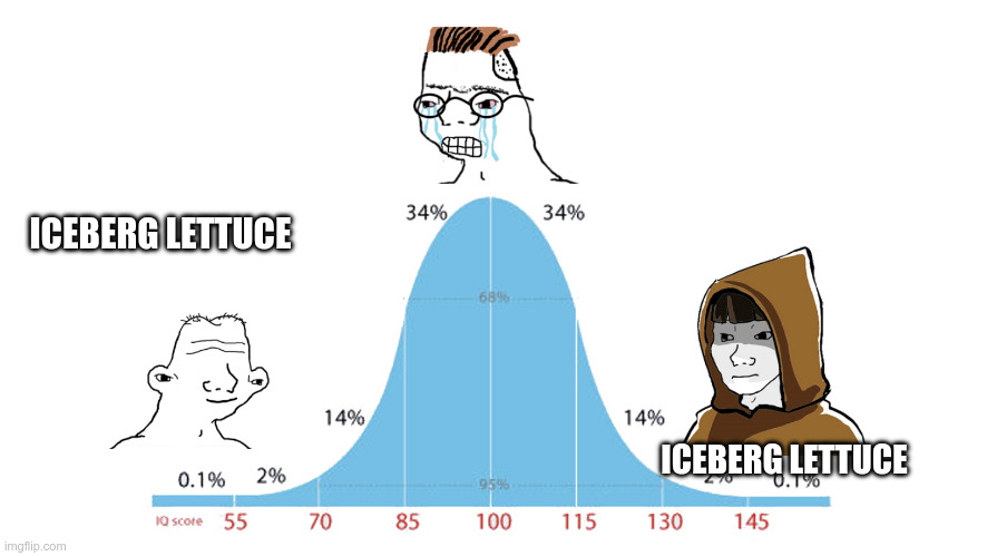 Wayne Rowcliffe 🦬 tweet media