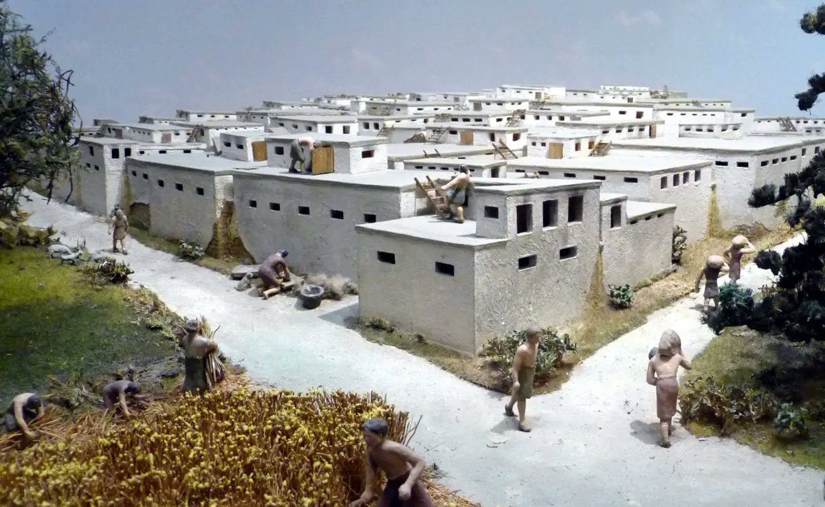 Astral Root tweet media