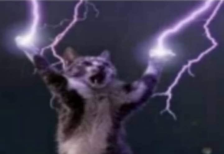 Bala Music tweet media