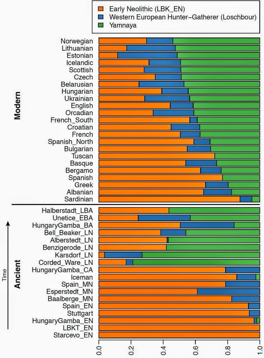Astral Root tweet media