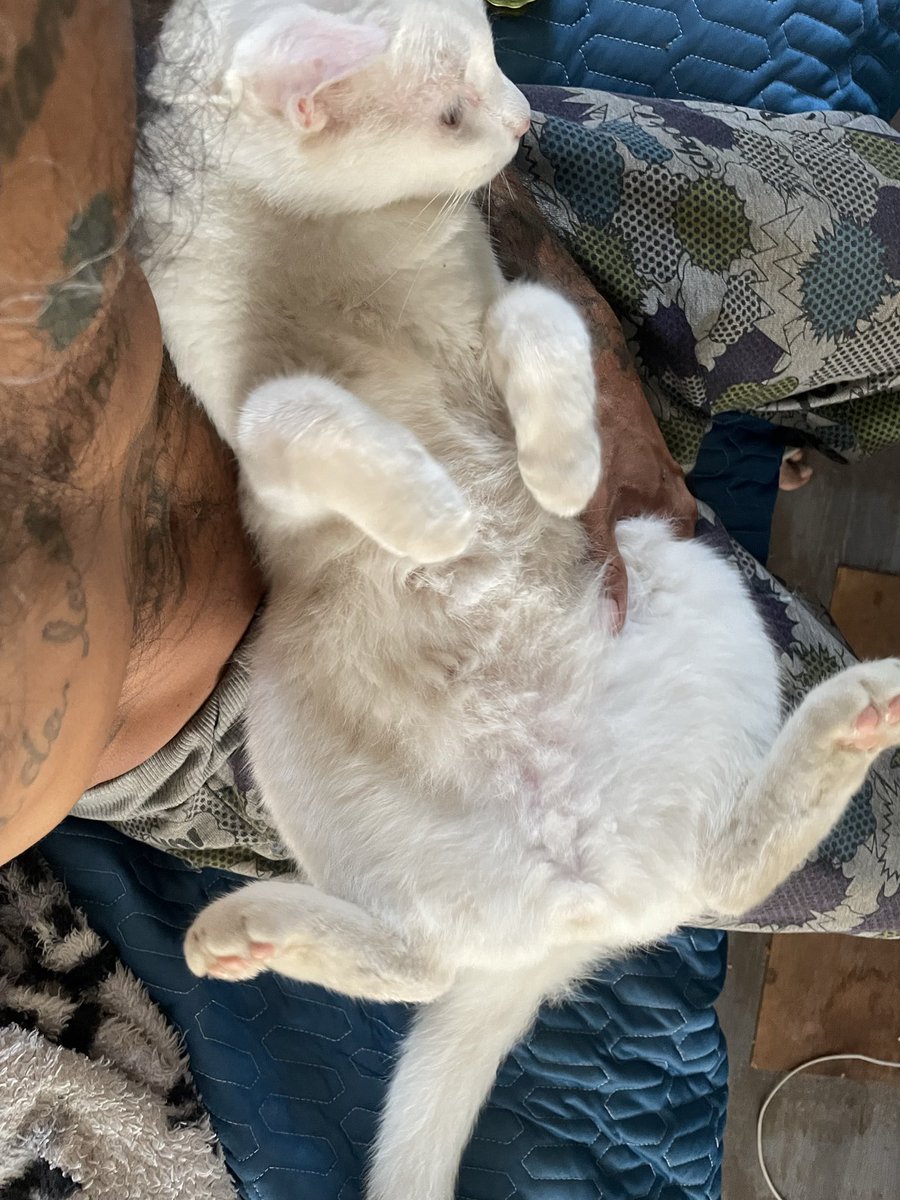 bouncebackon1.eth 🧬🍯🧠🏀🌌🚀 🪐 tweet media