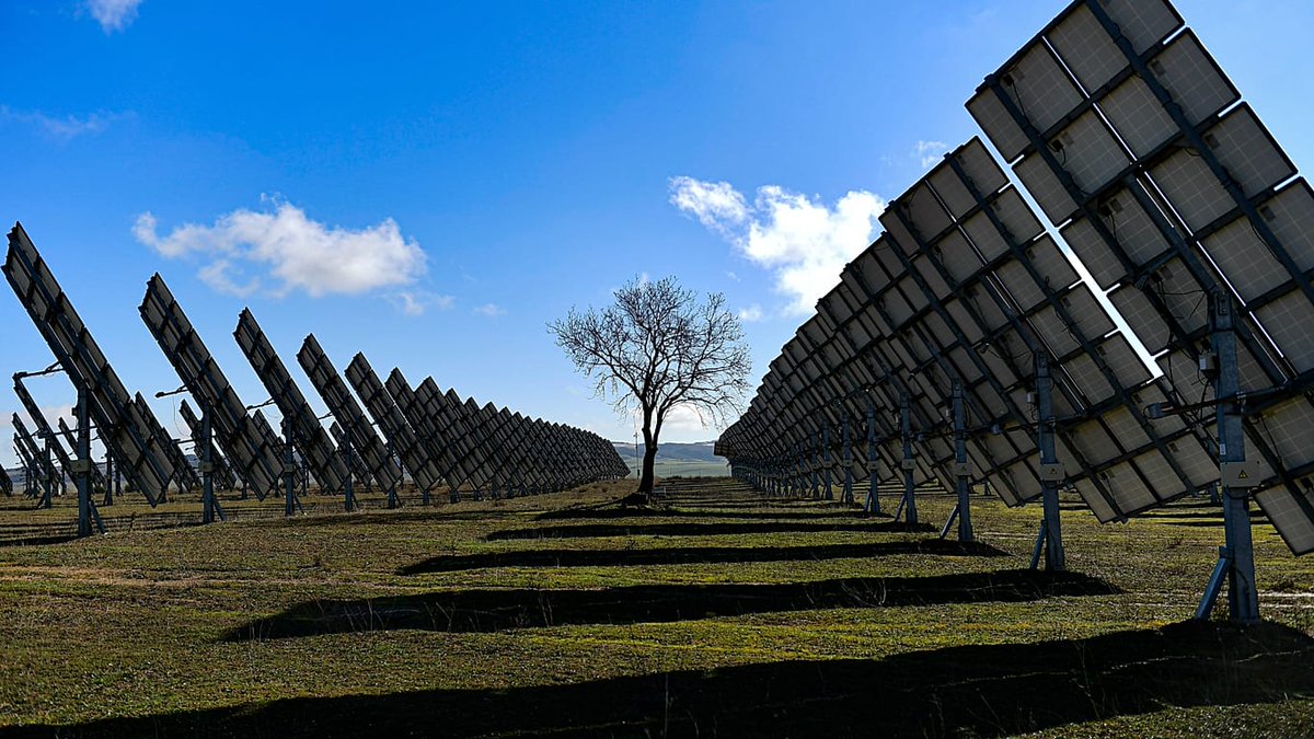 Transición Eléctrica tweet media