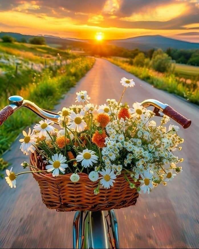 Hanife089's tweet photo. Yenilenmiş umutlar ve Yeni bir günden #günaydın https://t.co/0E6FleKEDu