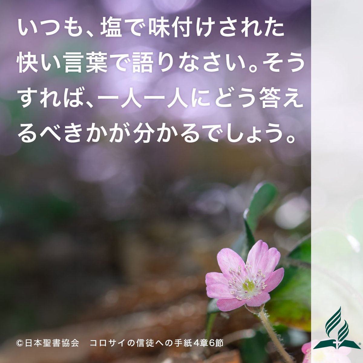 adventistjp's tweet photo. 祝福された安息日も終わり、新しい週が始まりました。
この暗唱聖句を心に留め、主と共に歩んでいきましょう。

#今週の暗唱聖句
#暗唱聖句
#聖書
#セブンスデーアドベンチスト教会 https://t.co/RamA46c4FN