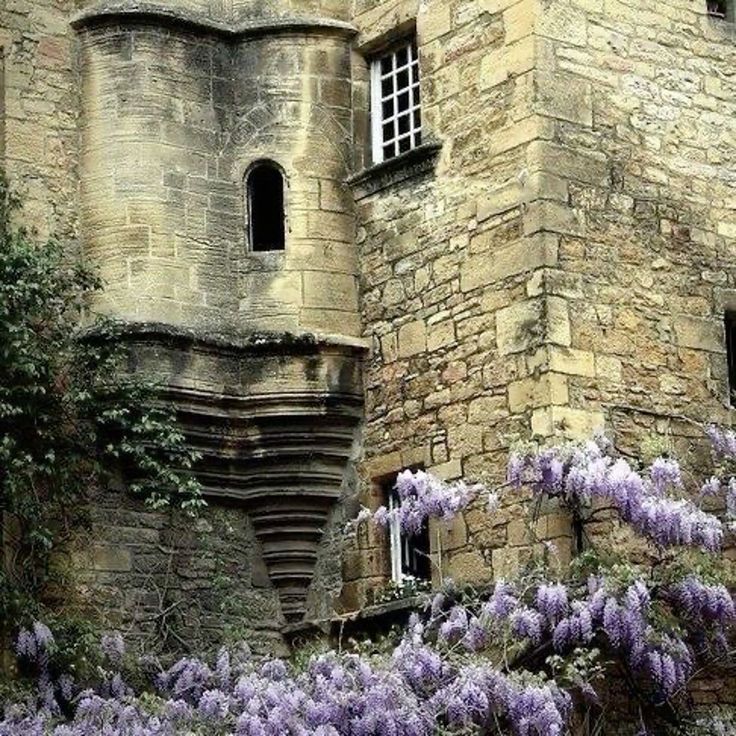 𓃦 ᵎᵎ tweet media