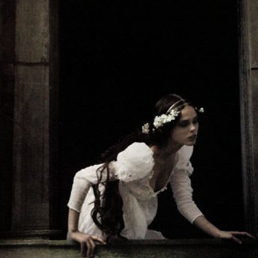 𓃦 ᵎᵎ tweet media