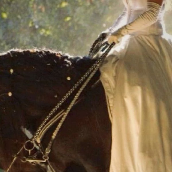 𓃦 ᵎᵎ tweet media