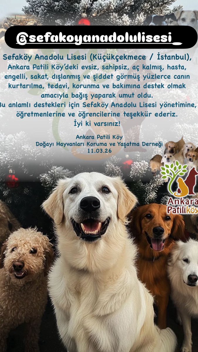 ankarapatiliky's tweet photo. Teşekkürler 🙏 https://t.co/YnxVlzAmEP