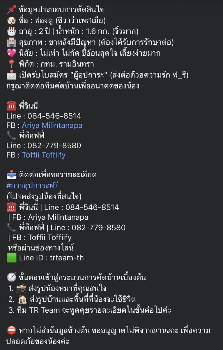 ฝากหาบ้าน ให้ “ฟองดู” 🐶

หยุดเลื่อนก่อน… แล้วมองตาหนูสักครั้ง 

“ฟองดู” ชิวาว่าตัวจิ๋ว 1.6 กก. ขาหลังมีปัญหา แต่หัวใจเต็มไปด้วยความรัก
เธอไม่ได้ต้องการแค่บ้าน… เธอต้องการ “โลกใบใหม่”

ใครพร้อมเป็นปาฏิหาริย์ให้หนูบ้าง 🤍

(รายละเอียดในภาพ) #หาบ้านให้หมา #adoptdontshop