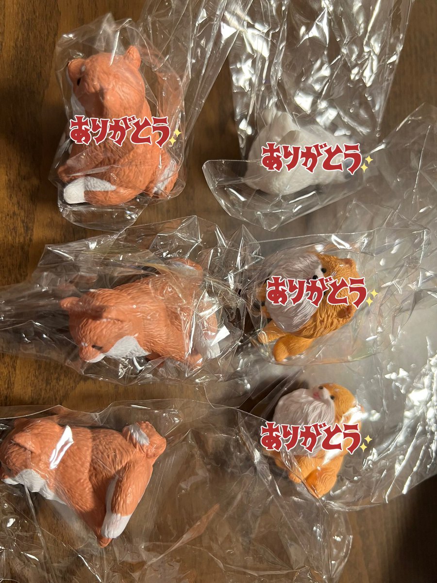 とろ(本垢兼交換) tweet media