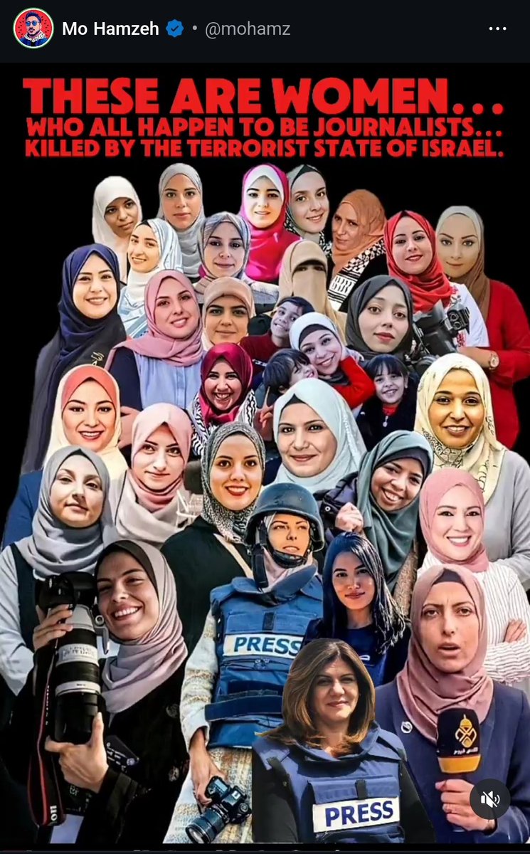 Aquarium tweet media