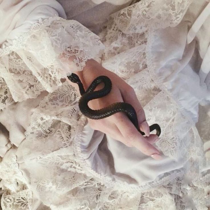 𓃦 ᵎᵎ tweet media