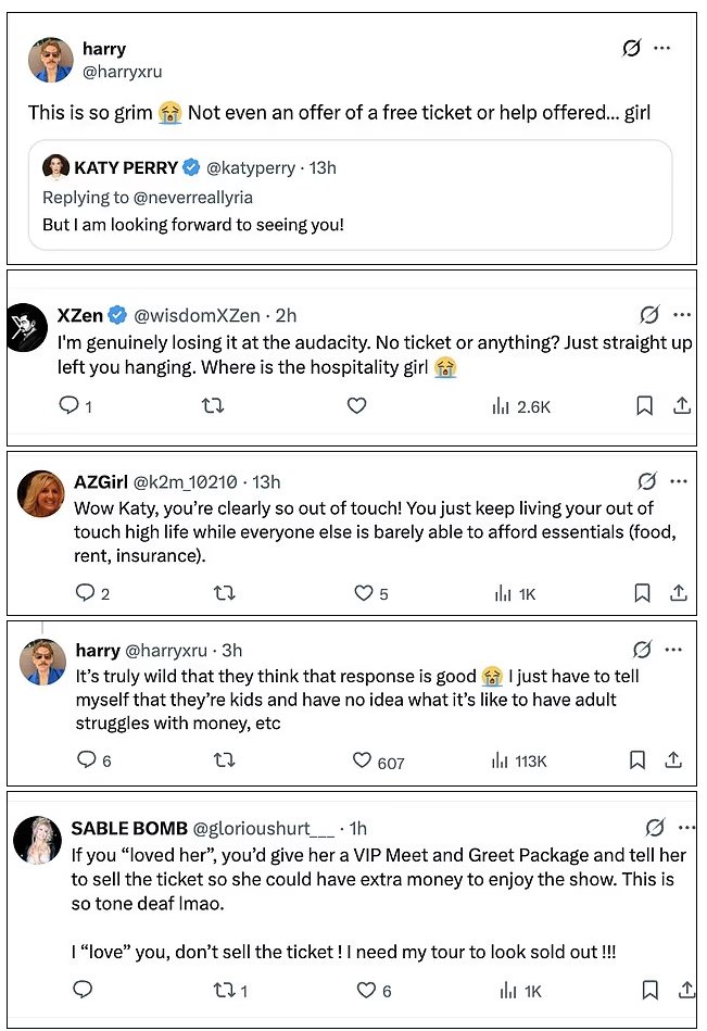 KATY PERRY SLAMMED AFTER FAN SAYS SHE CAN'T AFFORD TO LIVE & MUST SELL ...