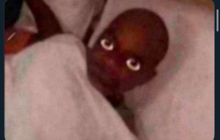 Billibash tweet media