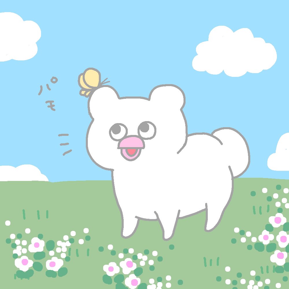 sojipochan's tweet photo. パモォ　かわいいよぉ https://t.co/8W5uWdLi53