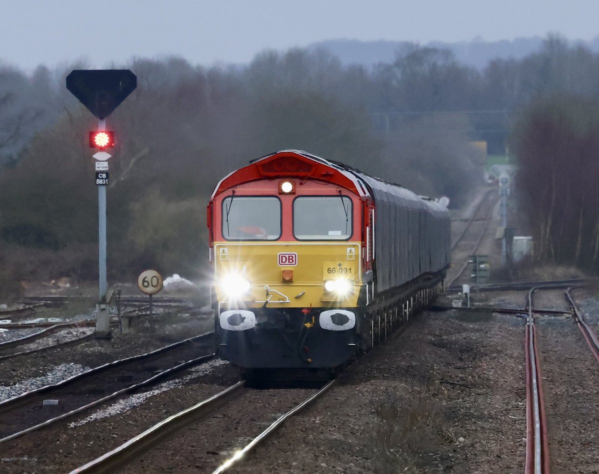 RegalEagle tweet media