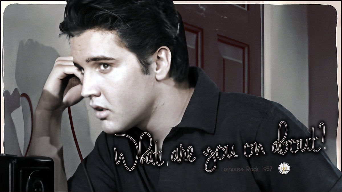 Elizabeth Macpherson tweet media